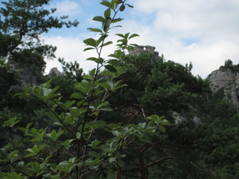 ../Images/2012-07-10-16h43m33 .jpg